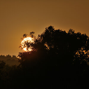 DSC_9242.JPG