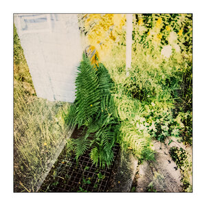 168/365 Leyk und Lockvogel – Ne Sekunde Sommer © 2026 Sabine Lommatzsch