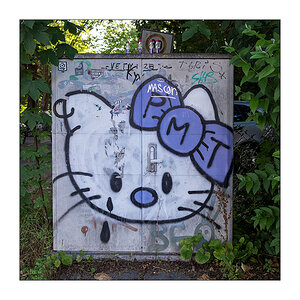179/365 Element of Crime – Unscharf mit Katze © 2026 Sabine Lommatzsch