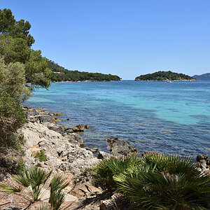DSC_4402.JPG