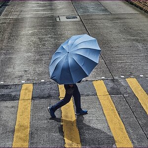 comp_2Umbrella-Lumiu.jpg