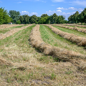 OFZ_05474.jpg