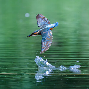 500f5.6.jpg