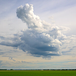 OFZ_05304.jpg