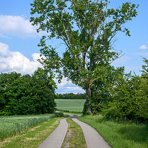 OFZ_05212.jpg