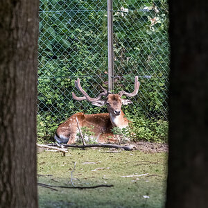 260721-D50_9142-Bearbeitet.jpg