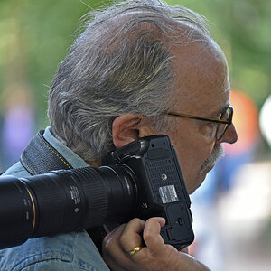 bremen_buergerpark_holger.jpg