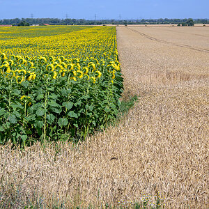 OFZ_05552.jpg