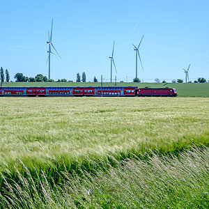 OFZ_04898.jpg