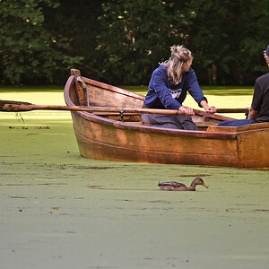 bremen_buergerpark_ruderboot.jpg