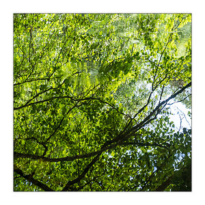 188/365 Charlotte Gainsbourg – Dans Vos Airs © 2026 Sabine Lommatzsch