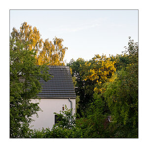 189/365 Sisters Of Mercy – Vision Thing © 2026 Sabine Lommatzsch