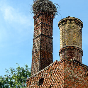 OFZ_05463.jpg
