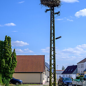 OFZ_05955.jpg