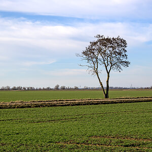 OFZ_03492.jpg