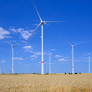 OFZ_06146.jpg