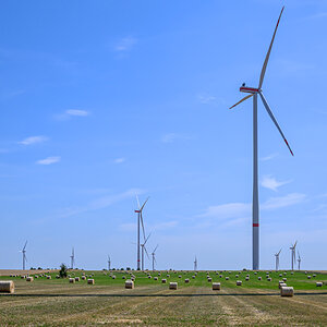 OFZ_06149.jpg