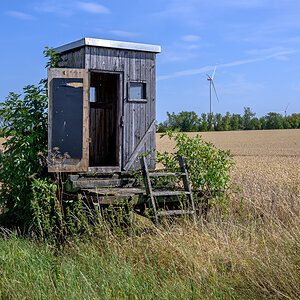 OFZ_06147.jpg