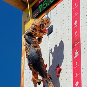 Speed-Climbing III.jpg