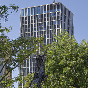 _Z509651_DxOAxl.jpg