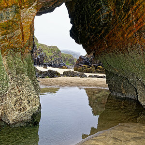 Gary Beach - Lewis 3.jpg