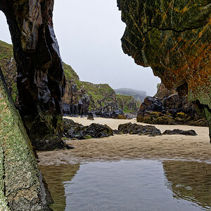 Gary Beach - Lewis 4.jpg