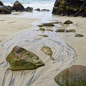 Gary Beach - Lewis 5.jpg