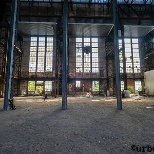 Wilder Osten 2026-Plessa-hdr-RAW (1 von 1)-2-web.jpg