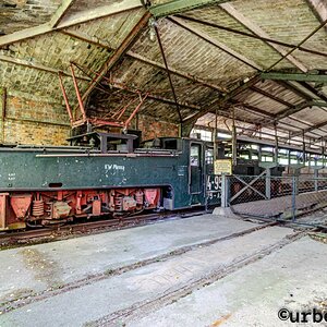 Wilder Osten 2026-Plessa-hdr-RAW (1 von 1)-19-web.jpg