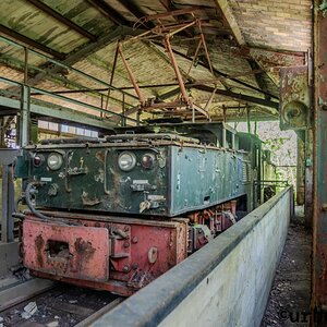 Wilder Osten 2026-Plessa-hdr-RAW (1 von 1)-20-web.jpg