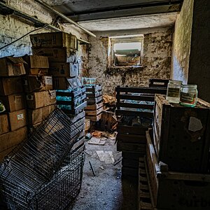 Wilder Osten 2026-Plessa-hdr-RAW (1 von 1)-18-web.jpg