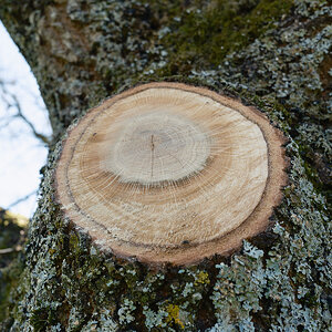 DSCF0186.jpg