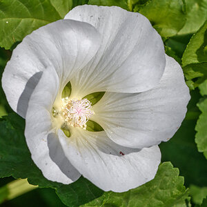 OF5_55436.jpg