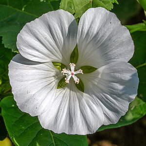 OF5_55438.jpg
