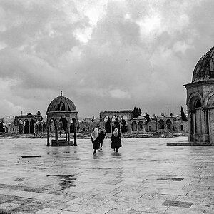 P8140094.jpg