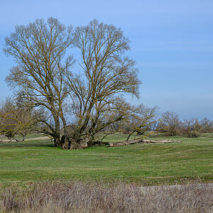 OFZ_03673.jpg