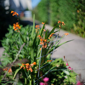 DSCF3305.jpg