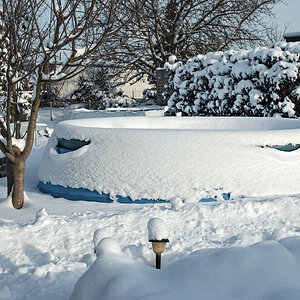 OF-DSC_1161c.jpg