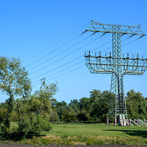 OFZ_06510.jpg