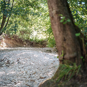 DSCF3265-2.jpg