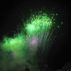 DSC_0433.jpg
