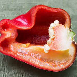 Habanero.jpg
