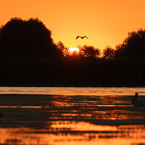 SunriseDonaudelta.jpg