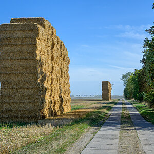 OFZ_06910.jpg