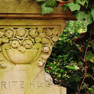 Jüdischer Friedhof #3