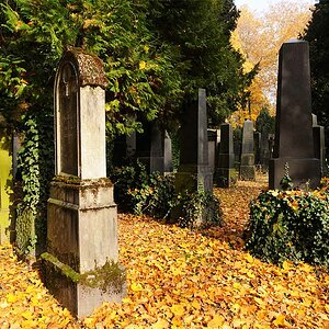 Jüdischer Friedhof #2