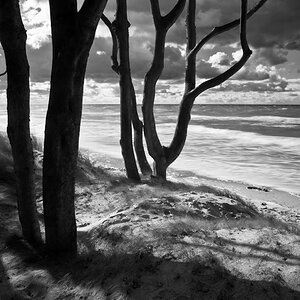 Darss Weststrand