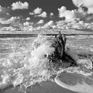 Darss Weststrand
