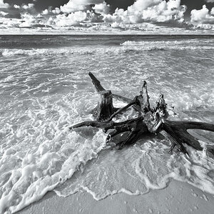 Darss Weststrand