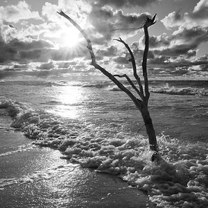 Darss Weststrand